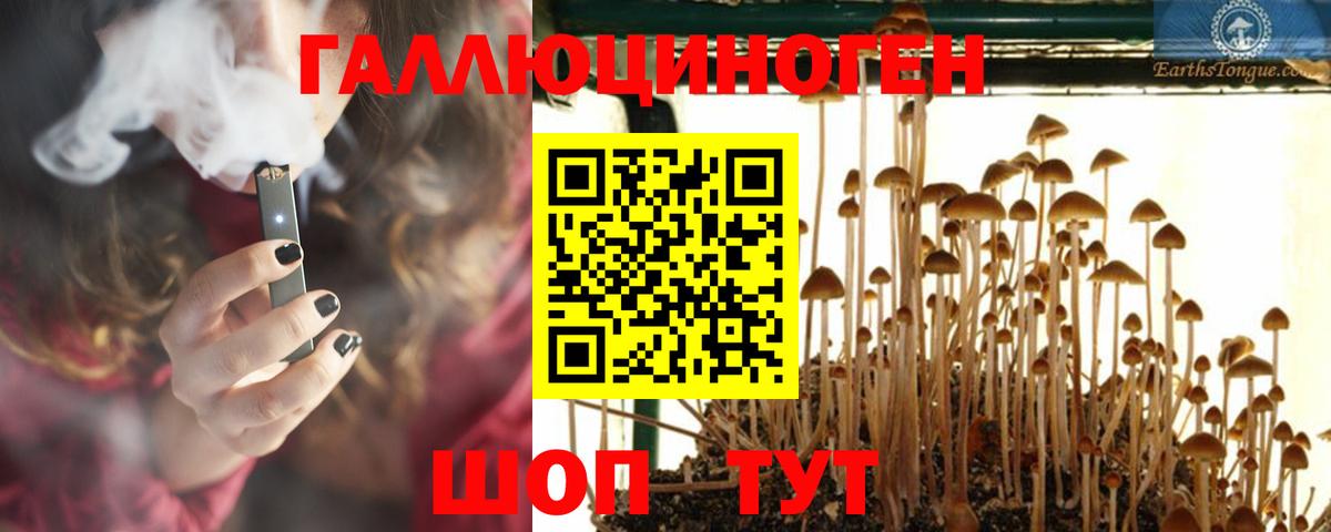 Псилоцибиновые грибы MAGIC MUSHROOMS  Галлюциногенные грибы мухоморы  Вход с VPN  Горно-Алтайск 
